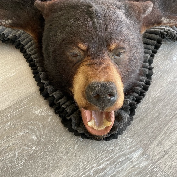 Handmade bear rug - Picture 4 of 10